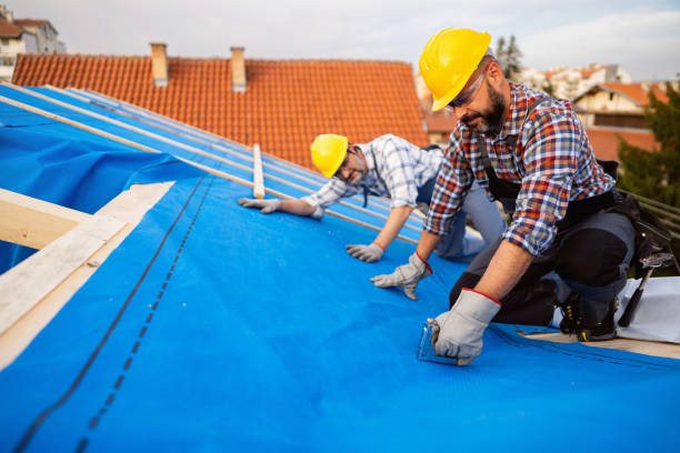 Best Roof Gutter Cleaning  in Estacada, OR